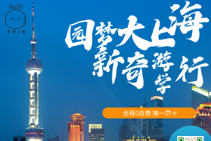 圆梦上海，新奇之旅